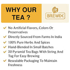 BREWIX, Turmeric Ginger Herbal Tea Bags (20 Pyramid Tea Bags) Real Ingredients From India, Naturally Caffeine Free | Pure Herbal Blend | Packed in Resealable Ziplock Pouch