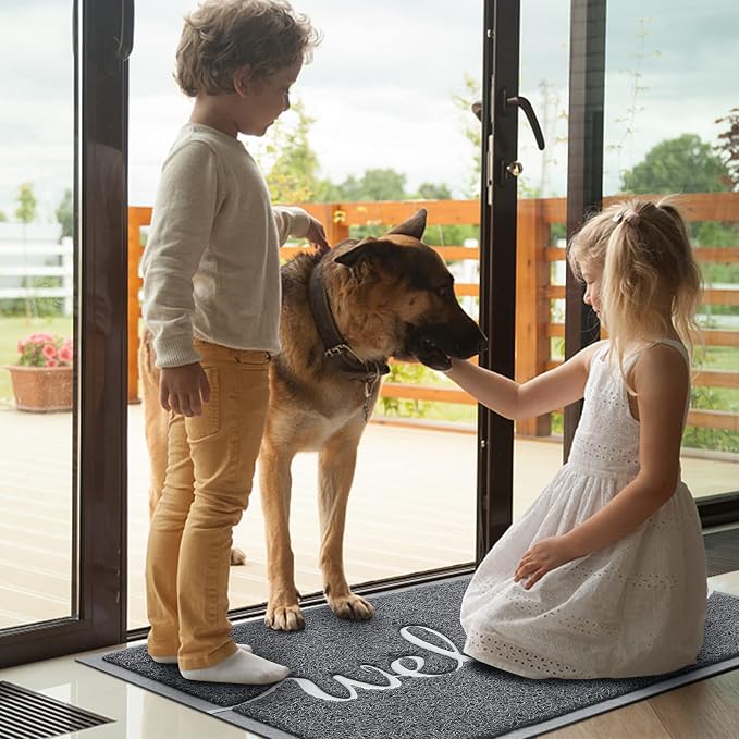 Door Mat Welcome Mat Floor Mat for Entryway, High Traffic Areas | Low Profile - Image 2