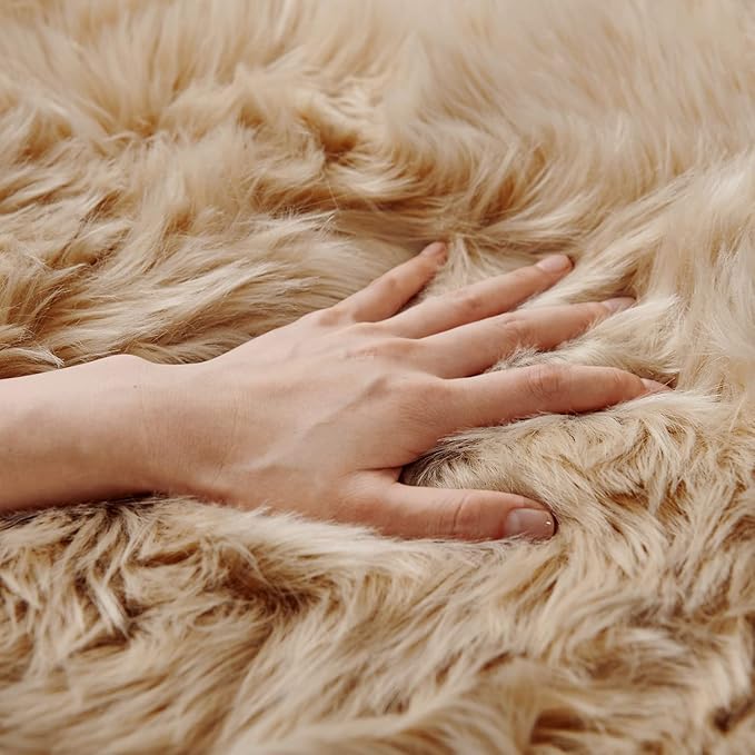 SERISSA 2x6 Fluffy Beige Faux Fur Area Rug - Image 2