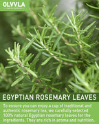 Olvvla - Rosemary Tea Bags - 1.5g X 60 Count - Pure Natural Dried Rosemary Leaves - Cultivated in Egypt - Non-GMO - Caffeine-free - Support Digestion