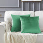 GIGIZAZA Decor Throw Couch Pillow Covers, Velvet Pillow Cases 24 x 24inch by GIGIZAZAFocusingonhomedecoration