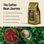 Vietnamese Coffee Beans - Saigondan Joyful | Medium Roast | 100% Arabica Bourbon | Single Origin | Roasted in Small Batches | Direct Trade | Notes of Orange Blossoms | No Preservatives | 12 Oz