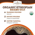 Fresh Roasted Coffee, Organic Ethiopian Sidamo Natural | USDA Organic, 100% Single Origin, Kosher | Light Roast 72 Pods for K Cup Brewers