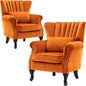 Velvet Accent Chairs Set of 2 by DMFurniture