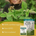 Organic Red Raspberry Leaf Tea – Loose Leaf Herbal Tea – 2 oz (Rubus idaeus)