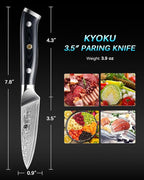 KYOKU Gin Series 3.5" Paring Knife - Japanese VG10 Damascus Stainless Steel Kitchen Knife With Silver Ion Blade, G10 Handle, Mosaic Pin - for Fruit, Vegetable, Peeling, Coring
