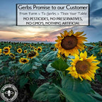 GERBS Sunflower Seed Meal 4 LBS. Premium Grade | Freshly Harvested & Packaged in Resealable Bulk Bag | Non-GMO, Keto & Paleo | Anti-Inflammatory Benefits, Prevent & Fight Sickness | Gluten Peanut Free