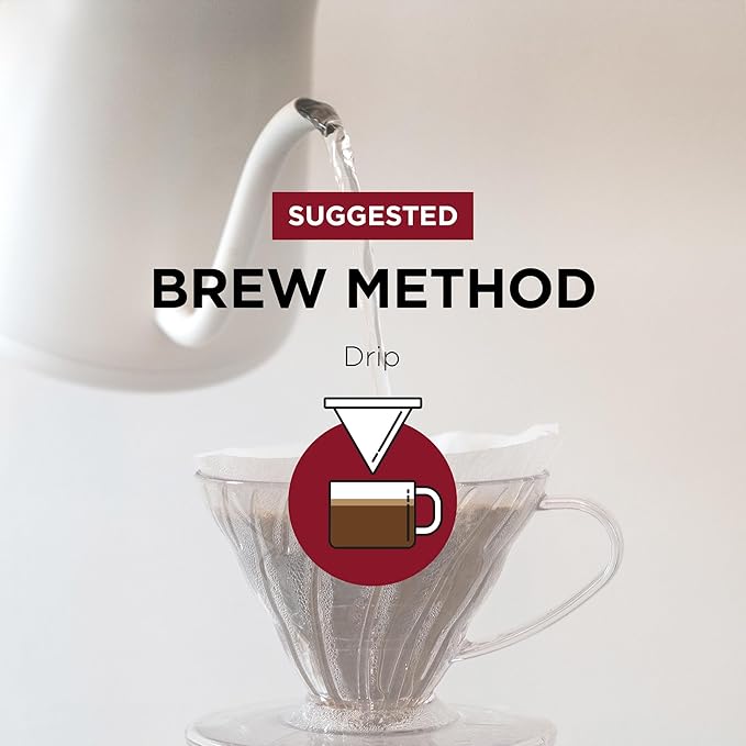 Fonte Coffee Roaster - Drip Coffee - Medium-Dark Fresh Roast - Roasted in Seattle - Single Origin - Bright, Chocolately, Balanced - 12 oz - Fonte AA