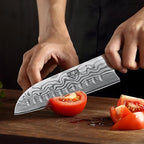 7 Inch Santoku Knife, Ultra Sharp Japanese High Carbon Powder Steel Kitchen Knife, Professional Chefs Knife with Ergonomic Handle