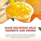 New Fanale Coconut Jelly Topping nata de coco for Boba Tea | Ice Cream | Yogurt | Smoothie | Milk Tea | Desserts Mango Star Shaped, 6.6 pound (Pack of 4) | JEL004-CS