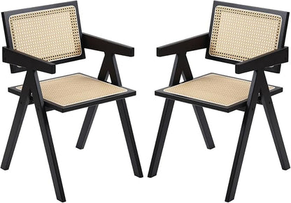 Furlide Rattan Dining Chairs Set of 2, Modern Mid Century Dining Chairs by Furlide