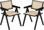 Furlide Rattan Dining Chairs Set of 2, Modern Mid Century Dining Chairs by Furlide