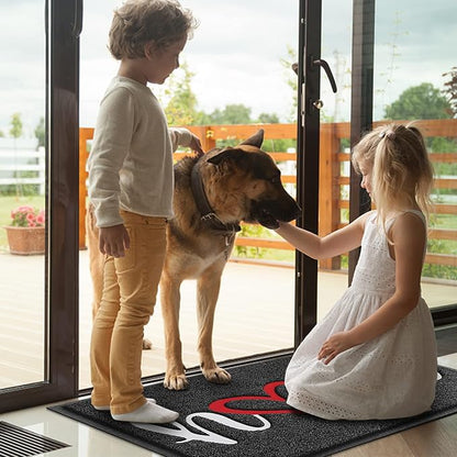 Door Mat Welcome Mat Floor Mat for Entryway, High Traffic Areas | Low Profile - Image 6