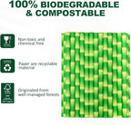 5.75" x 0.31" Green Bamboo Disposable Paper Drinking Straws for Short Drinks, Blended Cocktails, Margaritas, Smoothies, Milkshakes - Unwrapped [250 Counts]