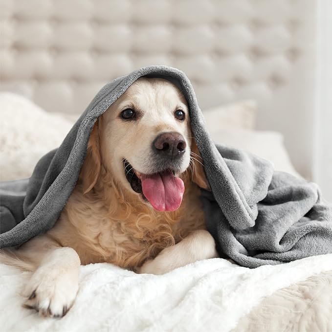 BEDELITE Fleece Blanket Soft Plush King Size Bed Blanket Grey 108"x90" | Ultra - Image 9
