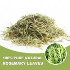 TEARELAE - Rosemary Tea - 1.5g x 50 Count - 100% Pure Rosemary Leaves Tea Bag - Country of Origin Egypt - Aid Digestion & Support Respiratory Health