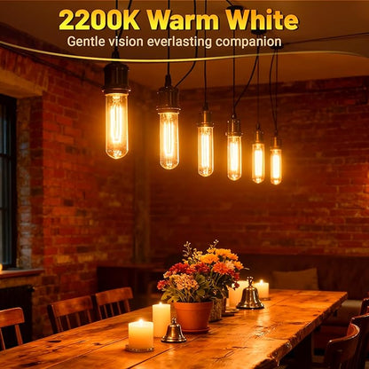 T10 Tubular Light Bulbs 25 Watt Incandescent Light Bulb, T10 Bulb, 120V 25W - Image 3