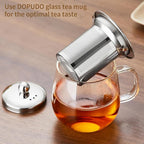 Glass Tea Cup with Infuser and Lid, 17.6oz/520ml Large Borosilicate Glass Teacup with Stailess Steel Filter, Clear Mug for Loose Leaf Blooming Tea, Dishwasher Safe - Tea Maker Gift