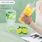 Glass Cups with Lids and Glass Straws, High Borosilicate 20OZ Tumblers (2Pcs) for Coffee, Tea, Juice, Smoothies, Hot/Cold Drinks at Home, Office