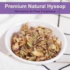 TEARELAE - Hyssop Tea, 36 Count - Pure Hyssop Herbal Tea Bag - Smooth Flavor - Aid Digestion - Non-GMO - Caffeine-Free