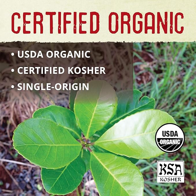 ECOTEAS Premium Organic Yerba Mate Tea Bags – Natural Energy & Detox Herbal Tea – Coffee Alternative - Kosher, Non-GMO, Gluten-Free - 100 Unsmoked Bulk Bags, 8.8 oz (Pack of 2)
