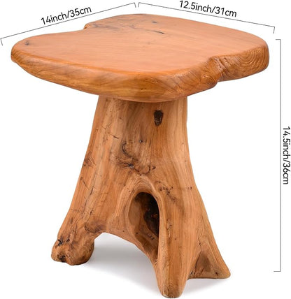 Small Side Table, Freeform Live Edge Wood Stool, Unique Design Natural Plant - Image 2