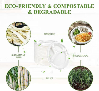 Vplus 100% Compostable Paper Plates, 600 Pack 9 Inch 3 Compartment Plates Disposable, Heavy Duty Biodegradable, Made of Sugar Cane Fibers, for Daily meals, Dinner, Parties, BBQ