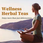 FullChea - Lemon Ginger Tea Bags, 50 Teabags - Pleasantly Spicy & Warming - Non-GMO - Caffeine-free - Support Healthy Digestion & Boost Immunity