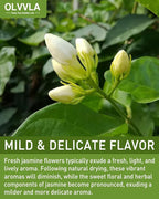 Olvvla - Dried Jasmine Flowers - 3oz/85g - 100% Natural Jasmine Tea Edible Flowers - Pure Jasmine Buds Loose Leaf Herbs - Non-GMO - Natural Fragrance