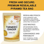 BREWIX, Turmeric Ginger Herbal Tea Bags (20 Pyramid Tea Bags) Real Ingredients From India, Naturally Caffeine Free | Pure Herbal Blend | Packed in Resealable Ziplock Pouch