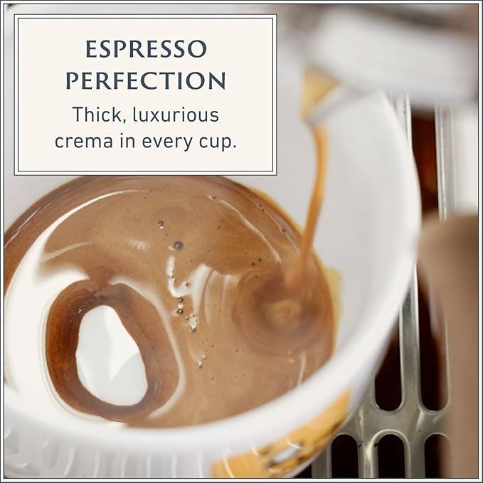 Filicori Zecchini Italian Espresso Beans – Whole Bean Coffee Medium Roast Arabica & Robusta Blend – Low Acidity, Slow Roasted – Delicato 340g
