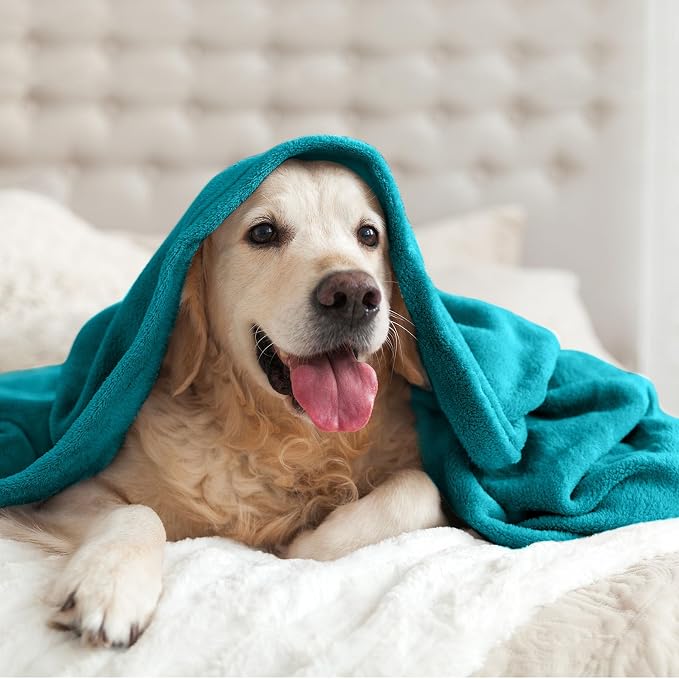 BEDELITE Fleece Blanket Soft Plush Twin Size Blanket Teal Blue 60"x80" | Ultra - Image 6