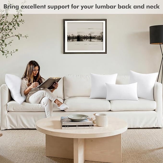 MIULEE 20x20 Pillow Insert, Premium Throw Pillow - Image 4
