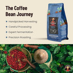 Vietnamese Coffee Beans - Saigondan Mindful | Dark Roast | Vietnamese Robusta & Arabica Blend | Vietnamese Single Origin | Roasted in Small Batch | Direct Trade | No Preservatives | 12 Oz