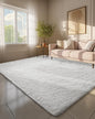 Ophanie 6x9 White Rugs for Living Room, Large Fluffy Shag Fuzzy Plush Soft by Ophanie