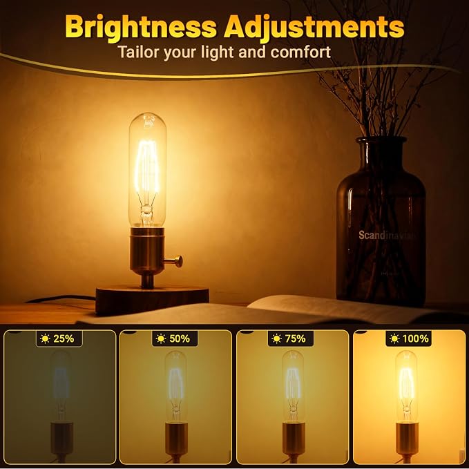 T10 Tubular Light Bulbs 60 Watt Incandescent Light Bulb, T10 Bulb, 120V 60W - Image 2