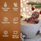 Syruvia Gingerbread Syrup for Coffee 25.4 fl Ounces Gingerbread syrup for Cocktails