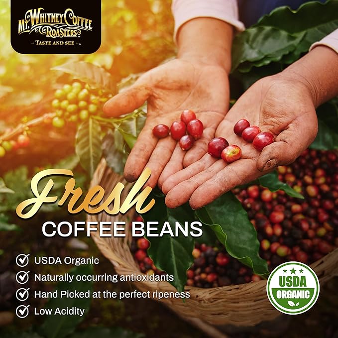 Mt. Whitney Base Camp Blend Coffee Beans - Medium Dark Roast Coffee, Low Acid Coffee - Ground Coffee, 12 oz (Pack of 1)