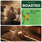 GO RA COFFEE – Ethiopian Roast Whole Bean – Organic Arabica from Ethiopia – Mycotoxin-Free, Single Origin African Beans – Roasted at Source – 500g (17.64 oz) – by Moyee Coffee