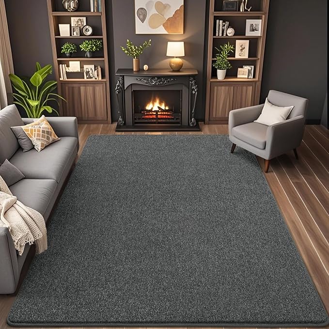 6x9 Area Rugs for Living Room Non Slip Bedroom Rug, Minimalist Washable Indoor by AROGANAREARUG