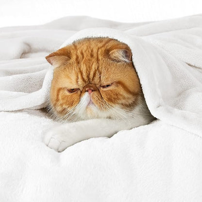 Bedsure GentleSoft Bedding Fleece Blanket - Image 6