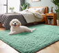 Sage Green 3x5 Rugs for Bedroom, Fluffy Bedside Area Rug, Soft Plush Shaggy by ONASAR