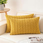 Aegero Pack of 2 Corduroy Decorative Throw Pillow Covers 12x20 Inch by Unknown