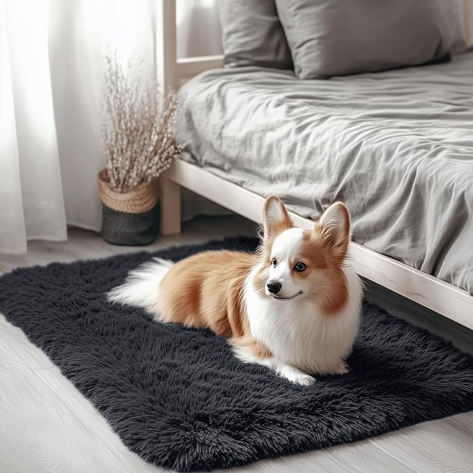 OLANLY 2x3 Machine Washable Small Bedside Rug, Soft Fluffy Shaggy Entryway by OLANLY