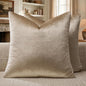 GIGIZAZA Taupe Velvet Pillow Covers 22x22 Decorative Pillows Pack of 2 | by GIGIZAZAFocusingonhomedecoration