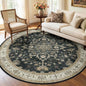 RELEANY Washable Area Rug, Round 6ft, Water Repellent, Pet Friendly, Vintage by RELEANY
