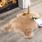 MIULEE Fluffy Area Rug 2x3 ft Faux Fur Sheepskin Rug by MIULEE