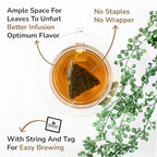 BREWIX, Perfect Mint Tea (20 Pyramid Tea Bags) | Soothing Mint Blend for Digestion Support & Daily Calm | Calming, Fresh and Cool | Caffeine Free Herbal Tea | No Sugar & No Caffeine | Spearmint and Peppermint