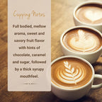 Cubico Coffee Medium Roast Papua New Guinea Kunjin Single Origin Coffee Pods, 10 Count, Compatible with Keurig K Cup Brewers