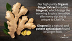 Chai Fix Instant Masala Chai with Milk, Honey and Organic Ginger 16 Servings
